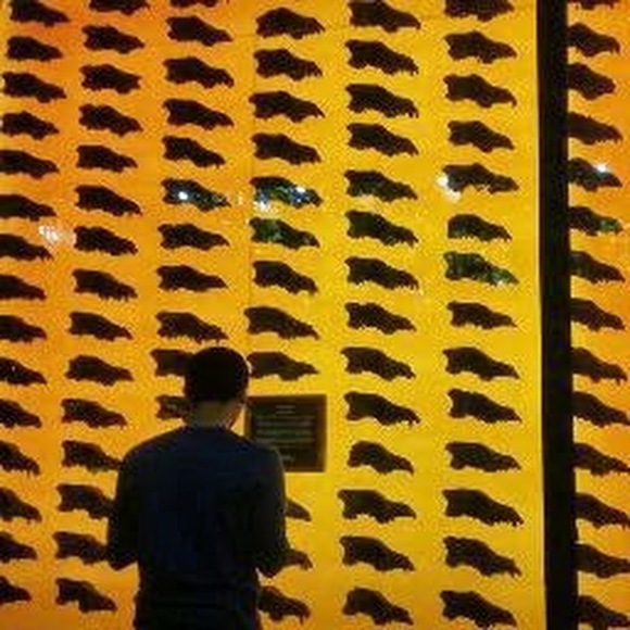 Meet your Posher, Josh - Picture 1 of 1